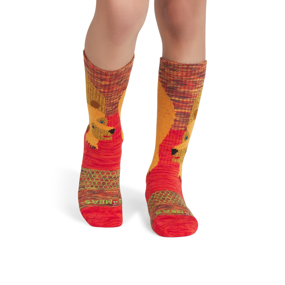 Youth Eric Carle Big Brown Bear Calf Socks - brown bear YO1 [5293]
