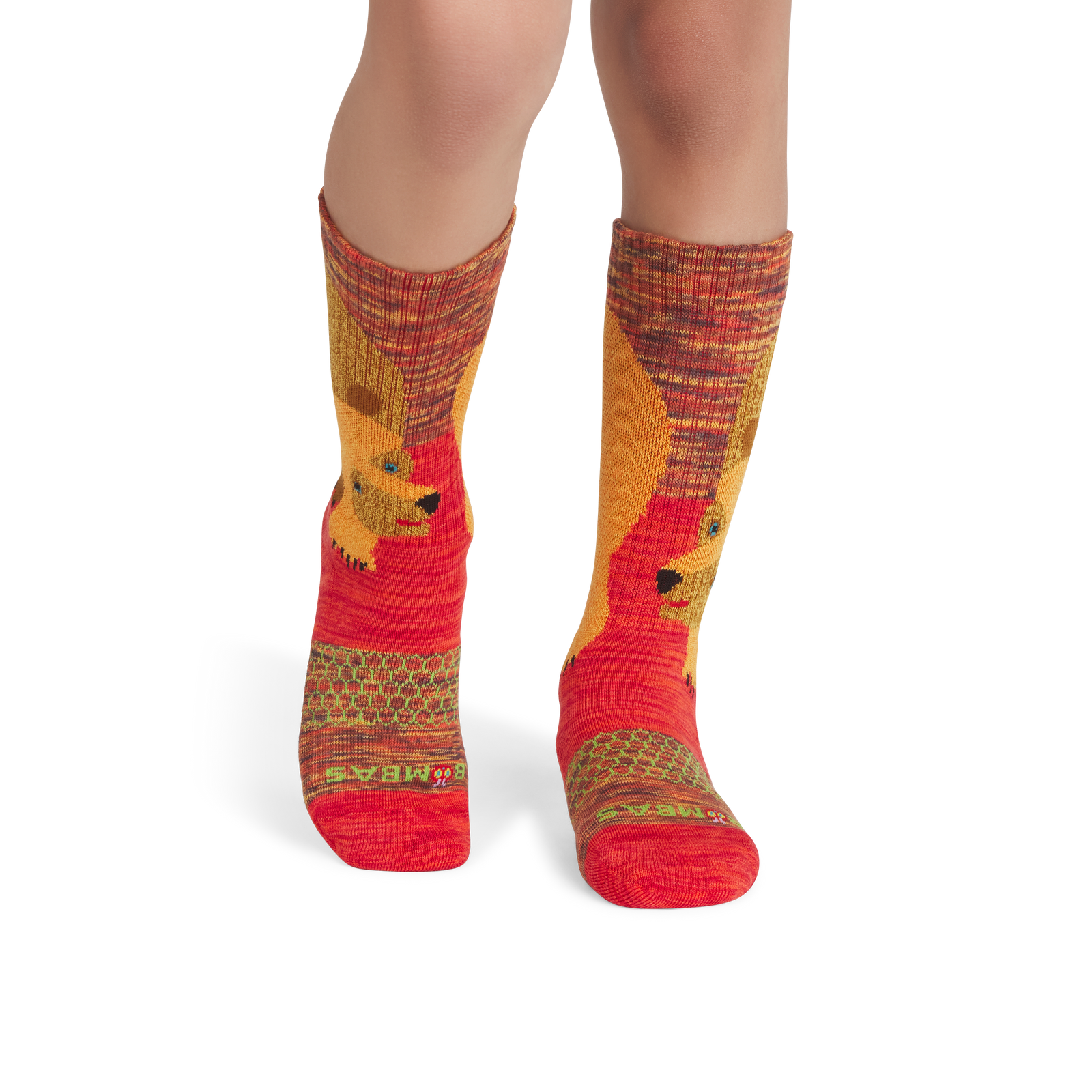 Youth Eric Carle Big Brown Bear Calf Socks - brown bear YO1 [5293]