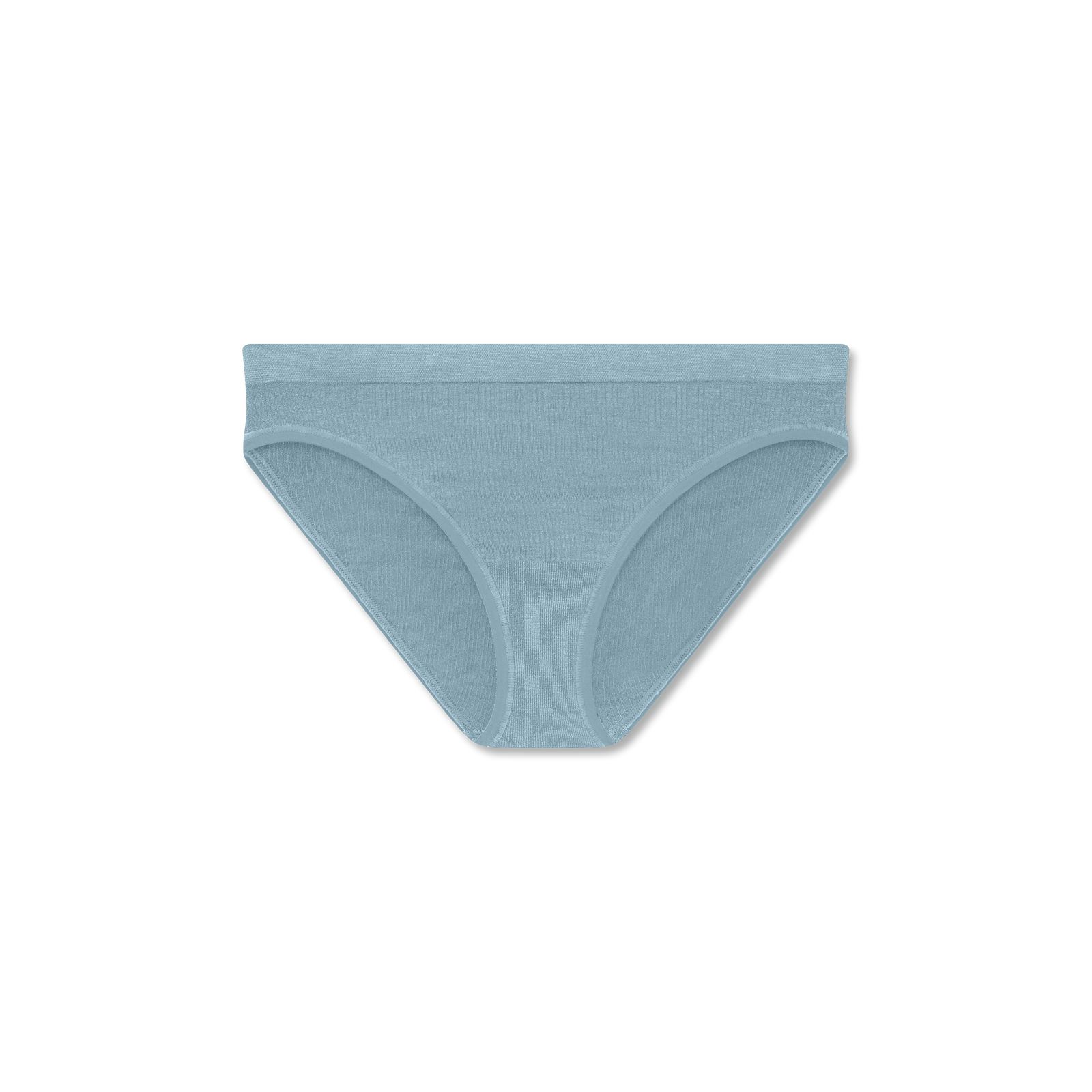 Women's Seamless Bikini - Fog Harbor L [9337]